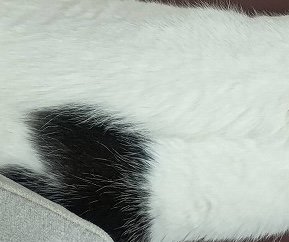 出所：@onigiri_kuri