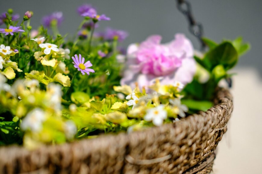 Nick Beer/shutterstock.com