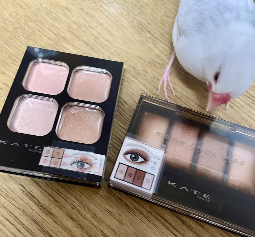 出所：@aokororism