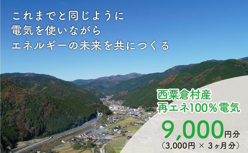 出所：ふるさとチョイス 電気料金 （3,000円×3ヶ月分） 百森でんき CO2フリー