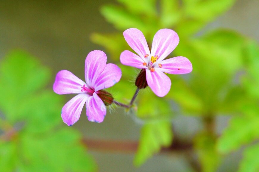 Orest Lyzhechka/istockphoto.com