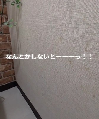 築30年中古マンションの〈トイレの壁〉を…2児ママが貼るだけDIY→高級感溢れる〈ホテルライクな空間〉に大変身！