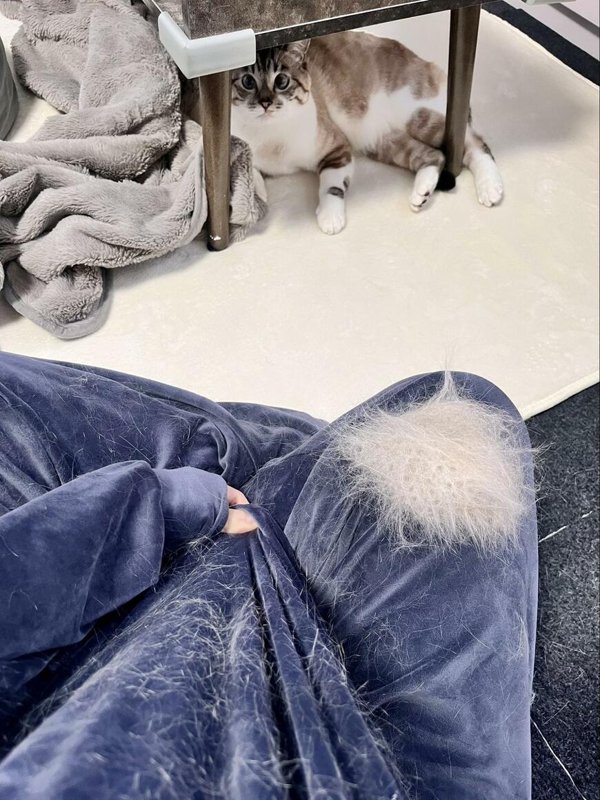 出所：@89maro_neko