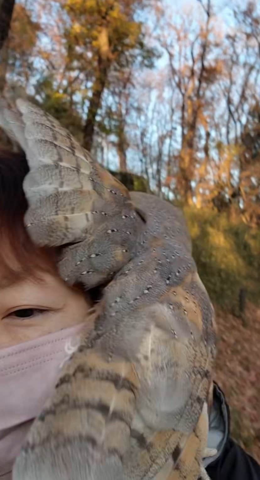 出所：@miki4wan108