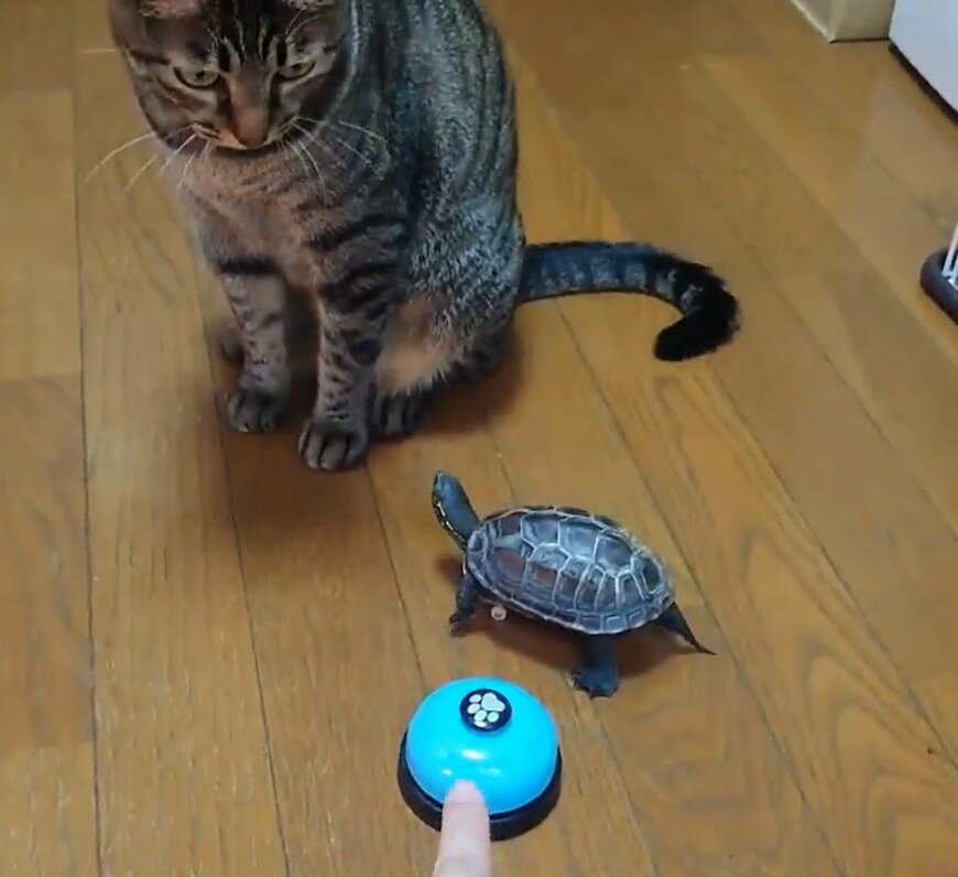 出所：@Mh0MLiErcV8E97C