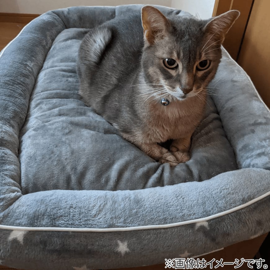 画像出所：ニトリ公式