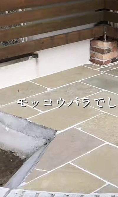 出所：@big_chiyomarumama