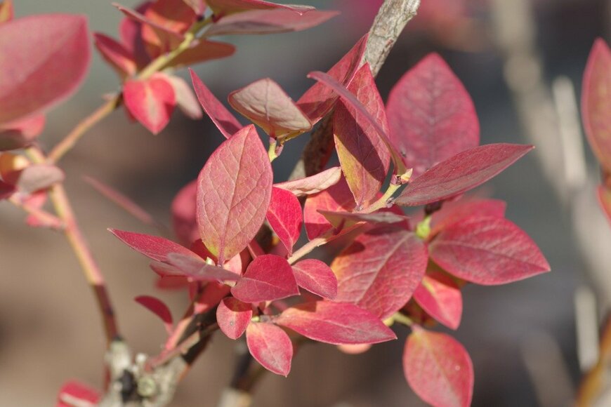 Takuya Aono/istockphoto.com