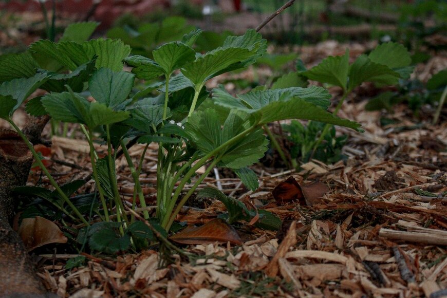Emily Kallick/istockphoto.com