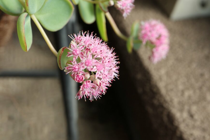 decoplus/istockphoto.com