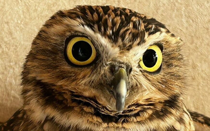 投稿動画のワンシーン