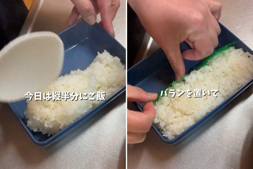投稿の画像