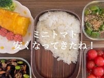 【自分に作る弁当】在宅ワークのご褒美！彩り鮮やかな〈つくね弁当〉に称賛の声　「とっても美味しそう」「いいですね」