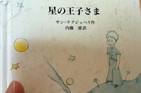子供の頃に憧れた「星の王子さま」に登場するバオバブの木　約20年後「夢を叶えた光景」に14万いいね