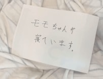 「猫が寝ています」毛布の上に置かれた手紙と、そこから顔を出す猫が可愛すぎる
