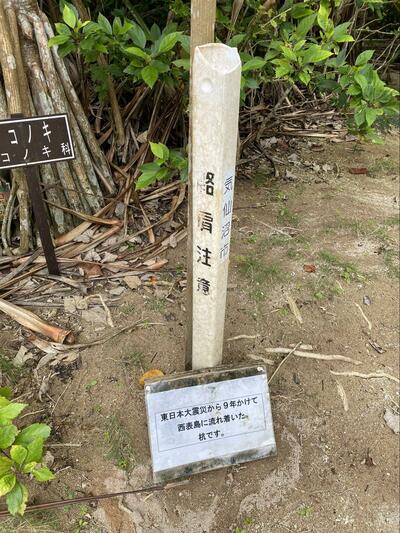 「気仙沼市」と書かれた白い杭