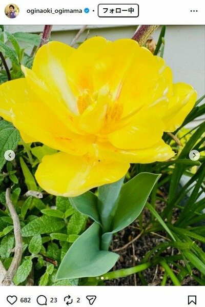 尾木直樹のInstagram投稿