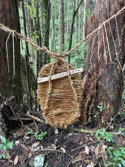 発見したもの