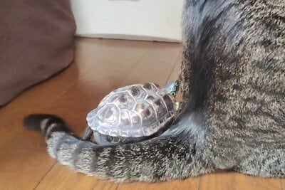 仲良しな二人の様子に癒されます