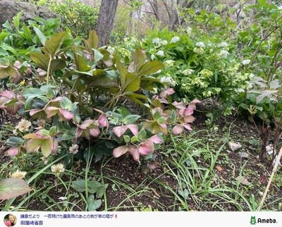 假屋崎省吾の公式ブログ投稿