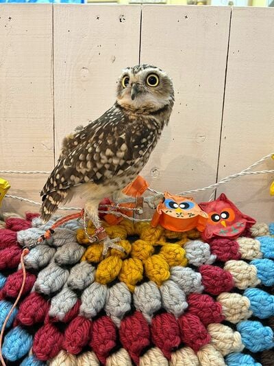 投稿動画のワンシーン