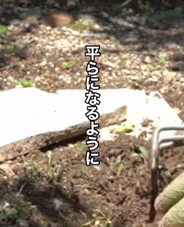 投稿動画のワンシーン