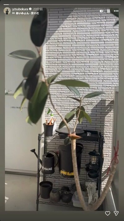 坪倉由幸のInstagram投稿