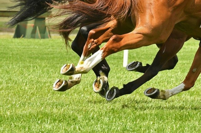 【競馬】過去10年の優勝馬と払戻し金額から見た「JRA・有馬記念」1番人気の勝率は6割だが…