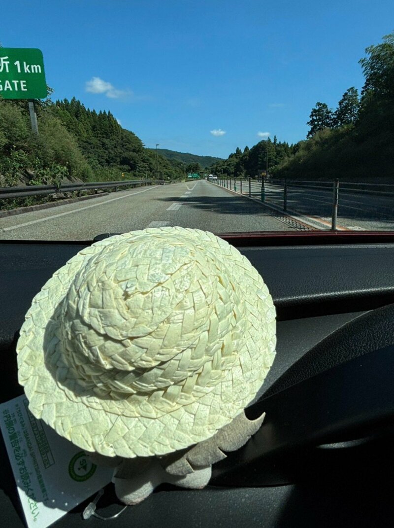 「実家に置き忘れたぬいぐるみ」が両親の旅行に同行 楽しげな写真に「クスッとした」