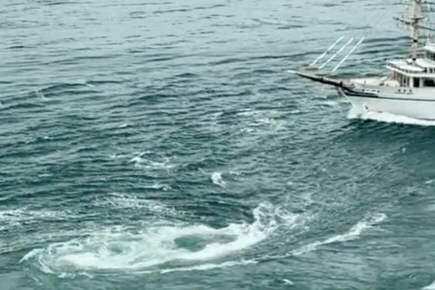 鳴門海峡で「大量発生した渦潮」に運よく遭遇　ダイナミックな光景に「思い残すことはございません」