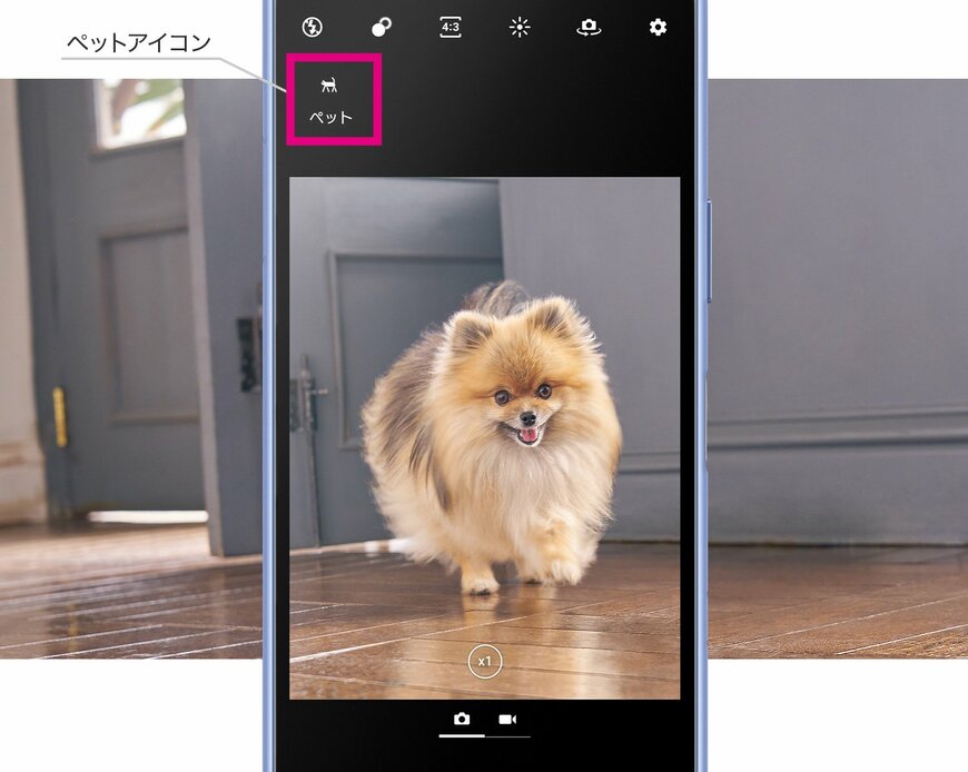 SONY「Xperia 10 III / 10 III Lite | Xperia公式サイト」