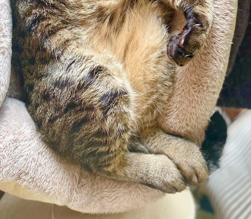 出所：@luna7taka9