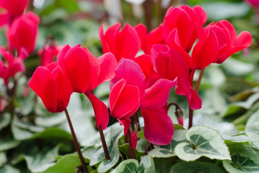 joloei/istockphoto.com