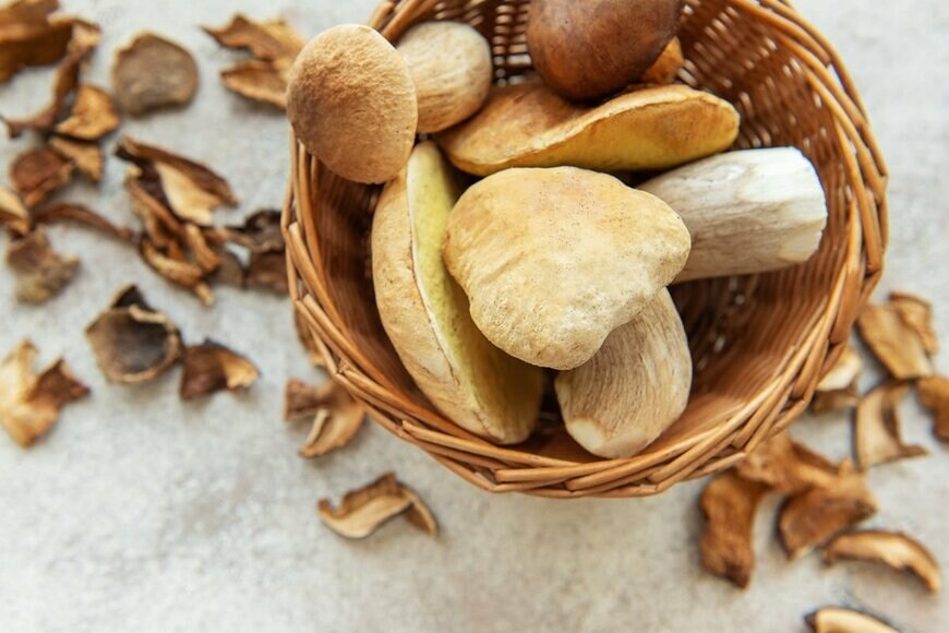 Olena Rudo/shutterstock.com