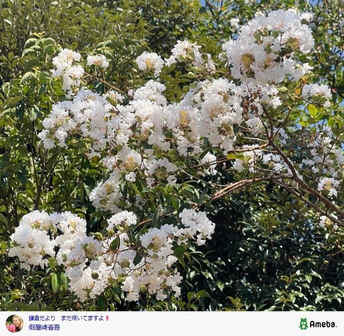 出所：假屋崎省吾のAmebaブログ 参照日：2025年9月1日