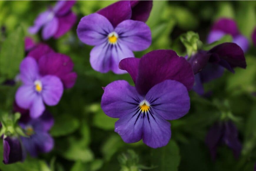 Tara Maginn/istockphoto.com