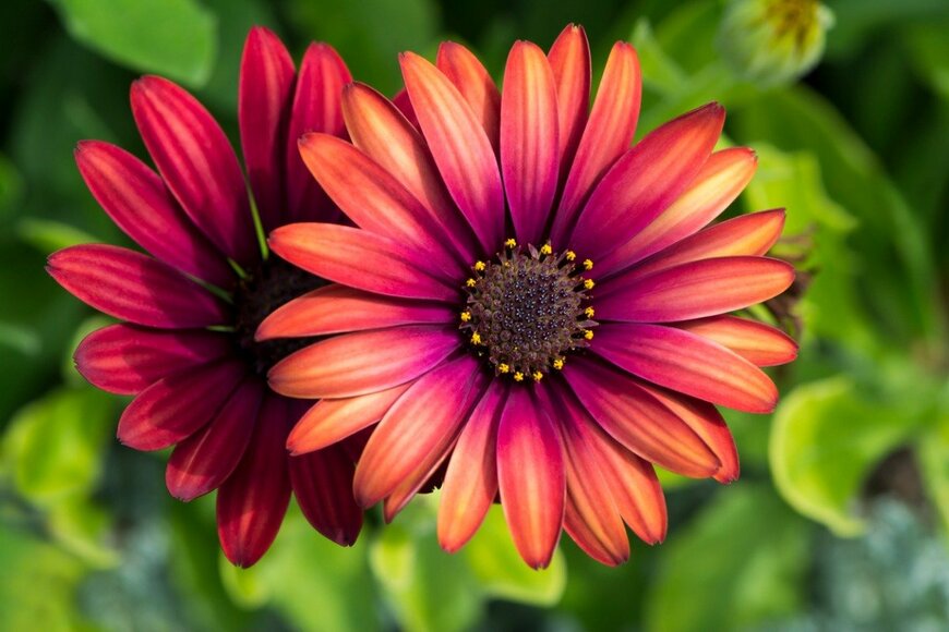 SharonWills/istockphoto.com