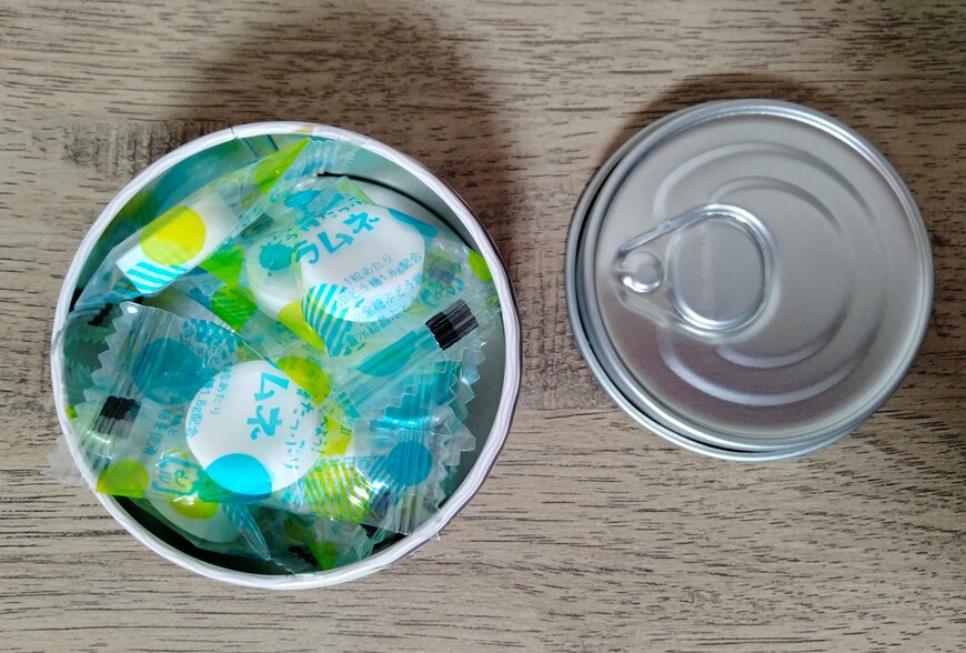 筆者撮影（セリア、缶詰型ケース アニマル）