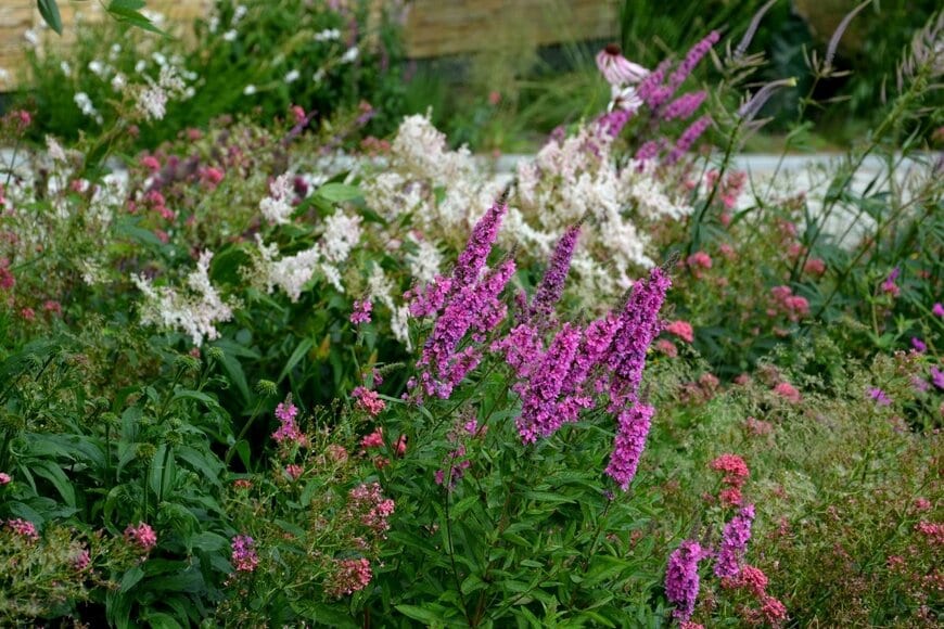 Beekeepx/shutterstock.com