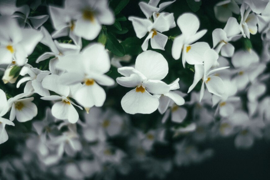 Wirestock/istockphoto.com