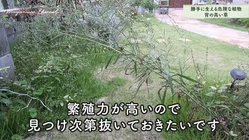 出所：@miyuki.garden