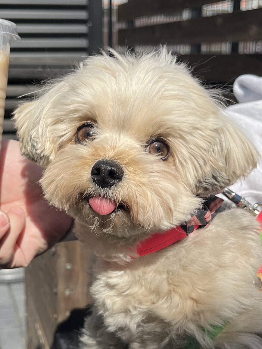 出所：@potage_0924