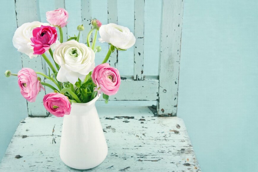 Anna-Mari West/Shutterstock.com