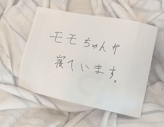 「猫が寝ています」毛布の上に置かれた手紙と、そこから顔を出す猫が可愛すぎる