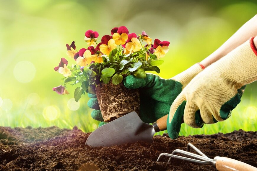 RomoloTavani/istockphoto.com