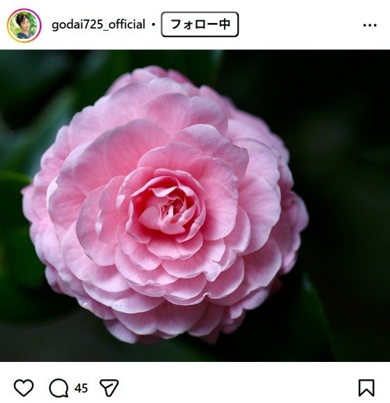 出所：伍代夏子のInstagram（＠godai725_official） 参照日：2026年3月18日