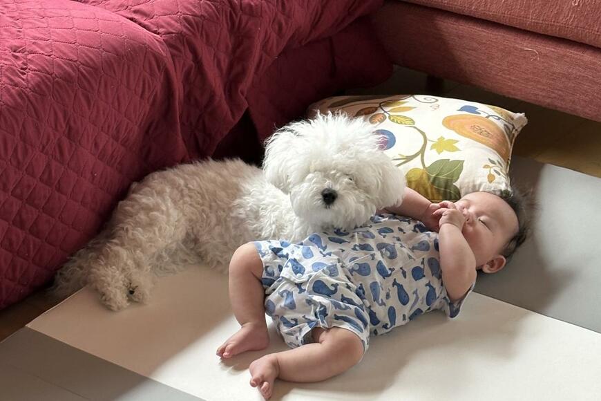 生後4ヶ月の赤ちゃんに添い寝する犬　「絶対自分の子だと思ってる」様子がかわいすぎる