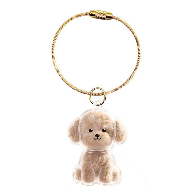 キャンドゥ、わんこのタイムカプセルの画像