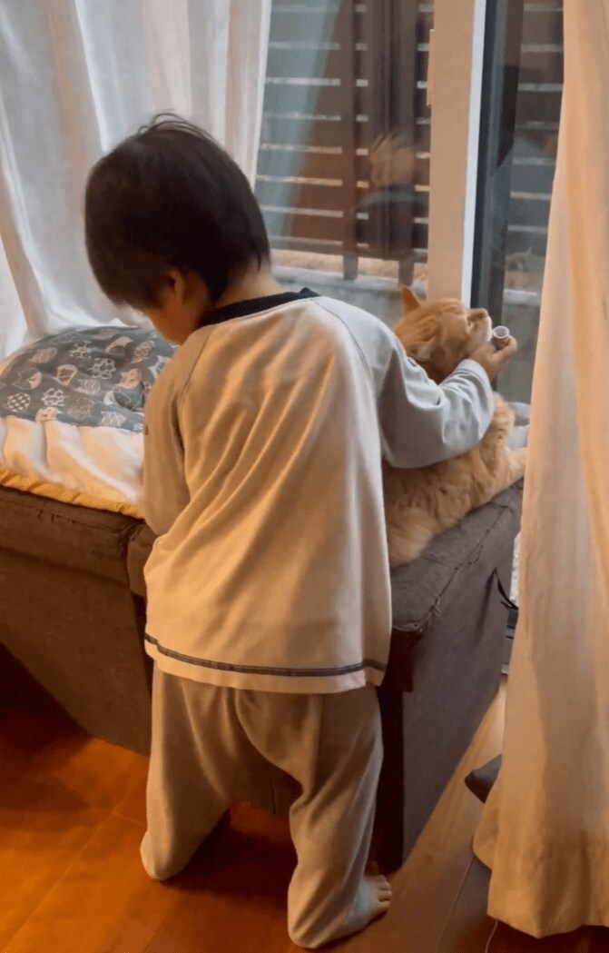 猫をお世話する息子さん