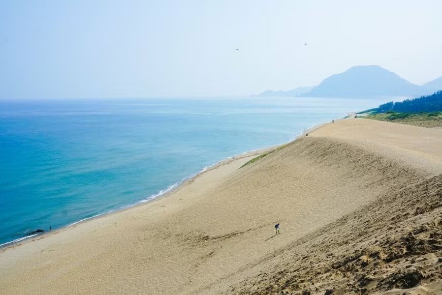 鳥取県の2023年度の観光消費額について紹介